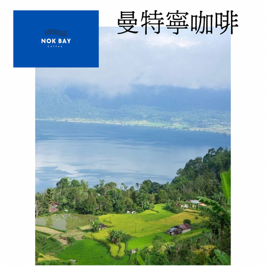 印尼 曼特寧咖啡