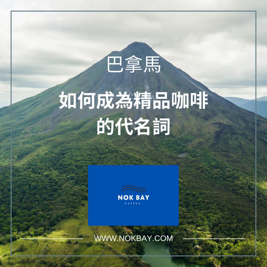 巴拿馬咖啡豆