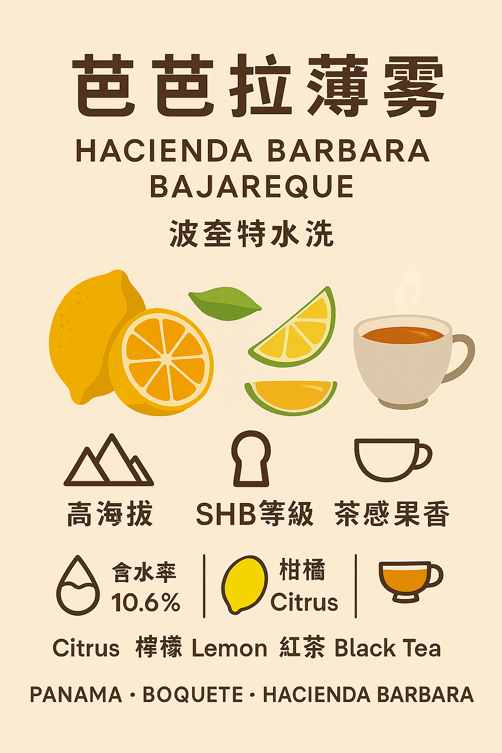 清新果香 茶韻優雅 巴拿馬波奎特 Boquete 之選
芭芭拉薄霧 Hacienda Barbara Bajareque 咖啡豆 掛耳包