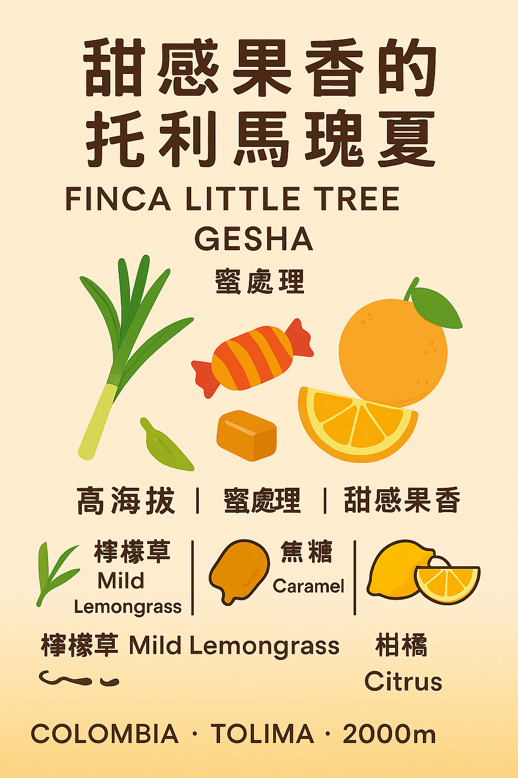 哥倫比亞 托利馬 小樹莊園 瑰夏 蜜處理 中淺烘焙 精品咖啡豆 掛耳包