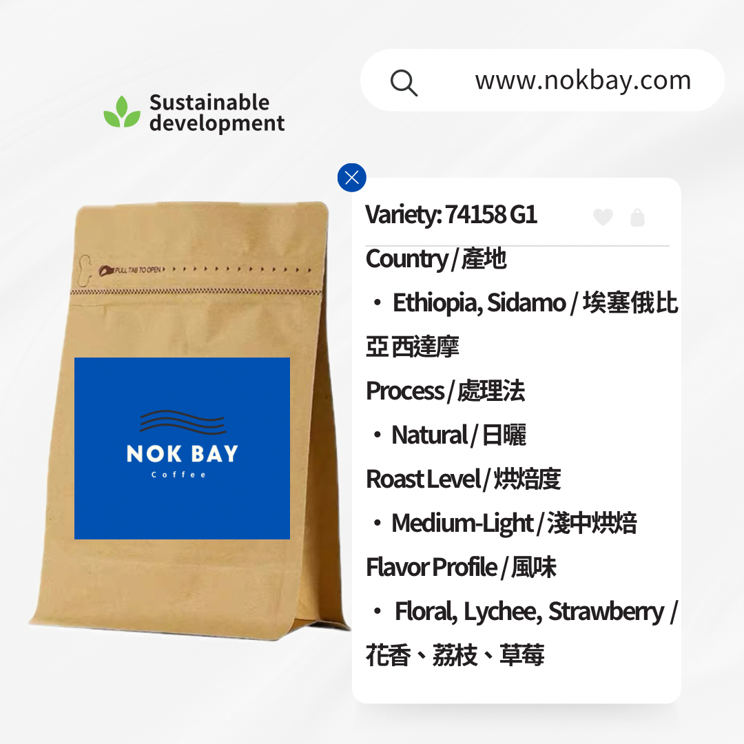 Nok bay coffee 精品咖啡豆 埃塞俄比亚 (Ethiopia) 西达摩 (Sidamo) 班莎 (Bensa) 荔枝红颜 日晒 浅烘焙 74158 G1