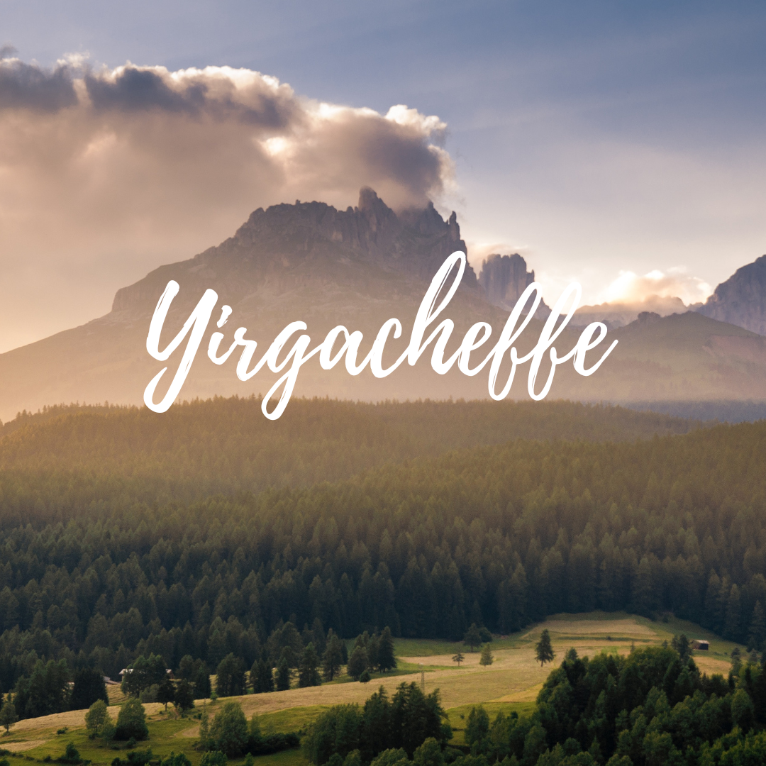 NOK BAY COFFEE
埃塞俄比亞|耶加雪菲|Yirgacheffe|奶油朱古力風味|水洗處理|G1咖啡豆|中深烘焙|意式咖啡豆