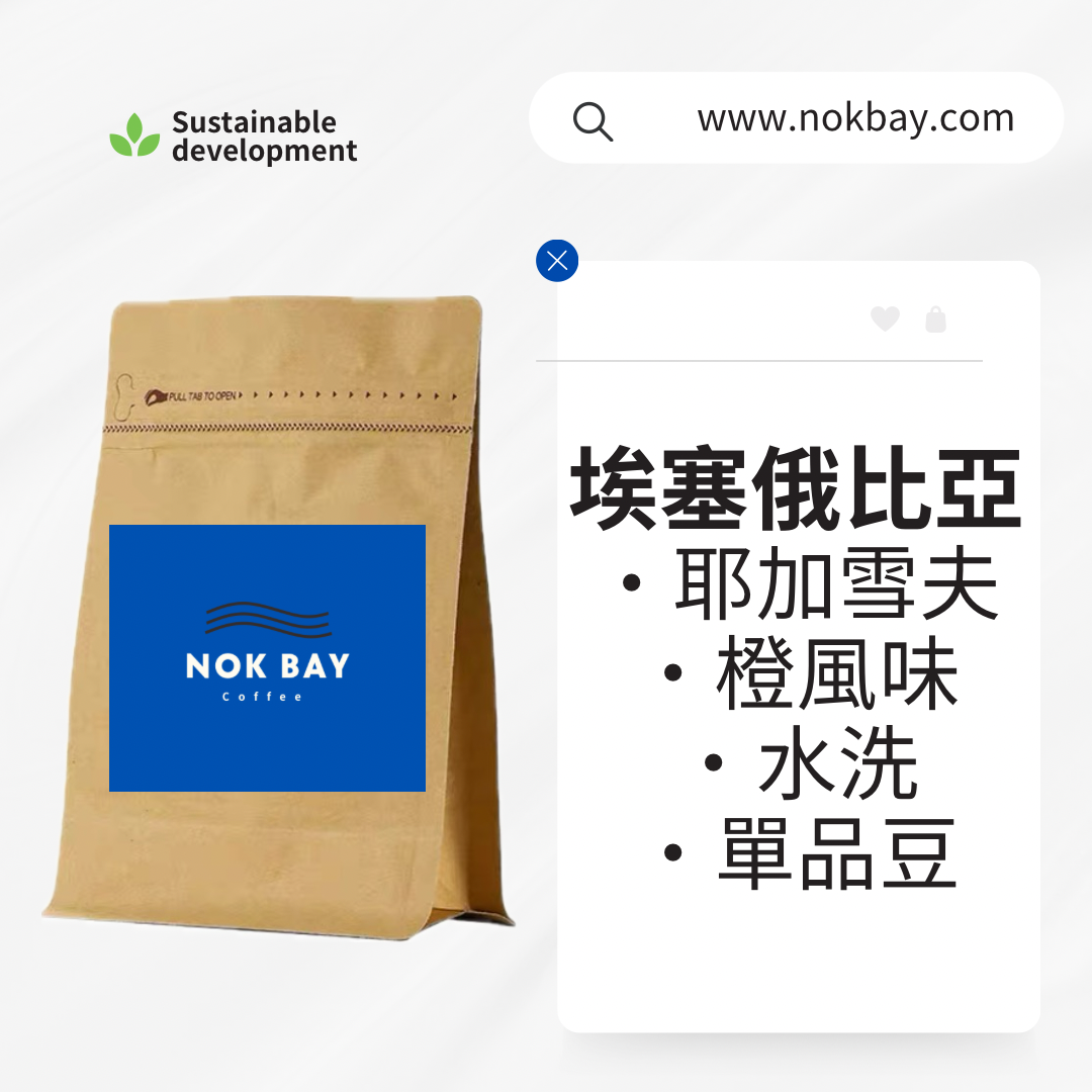 埃塞俄比亞|耶加雪菲|Yirgacheffe|橙風味|水洗|G1咖啡豆|淺中烘焙