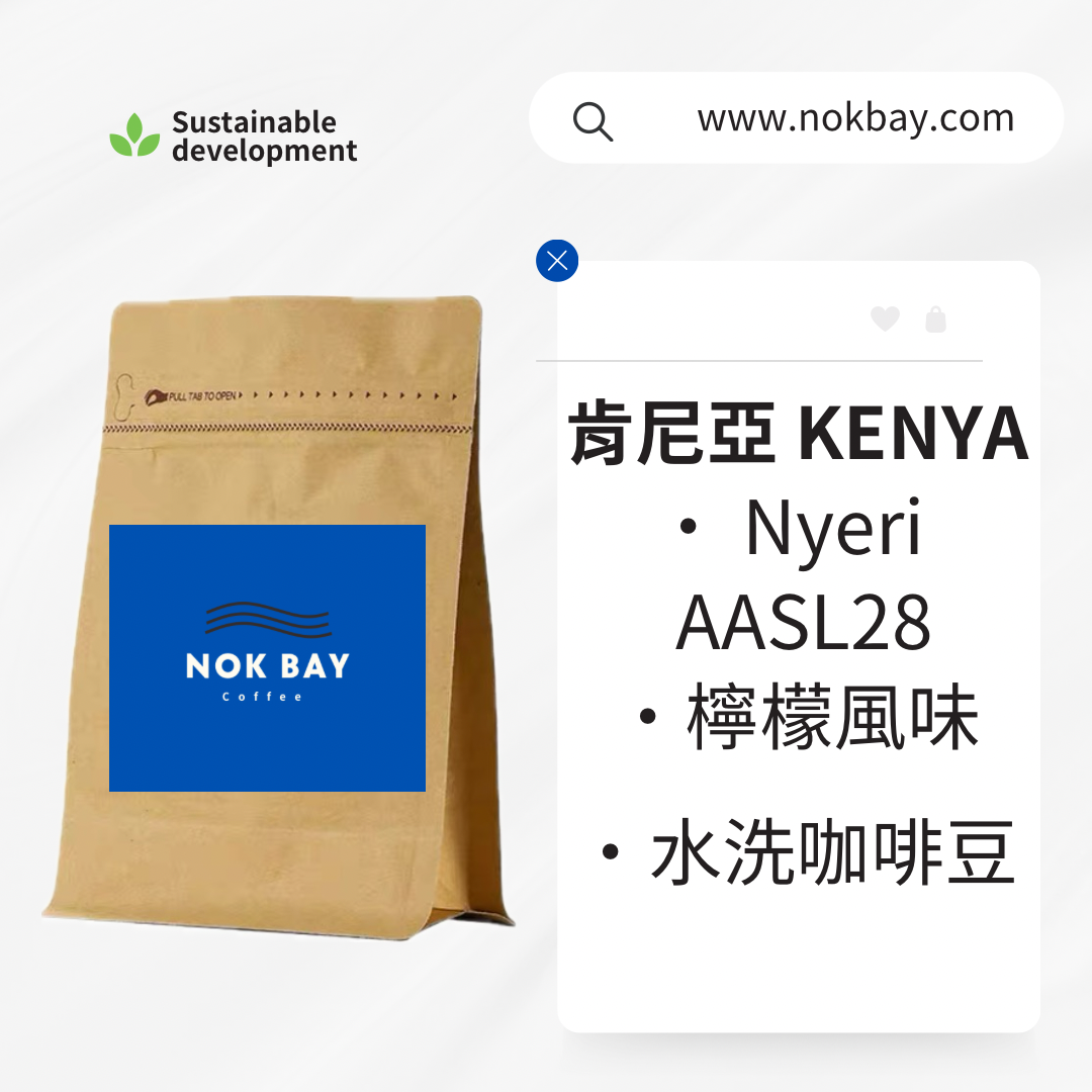 肯尼亞 KENYA|Nyeri|精品咖啡豆|AA SL28|檸檬風味|單品豆|水洗|淺烘焙
