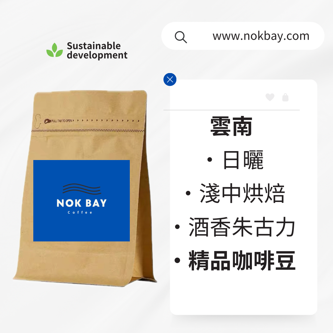 雲南|日曬|酒香朱古力|精品咖啡豆|中淺烘焙|Catimor