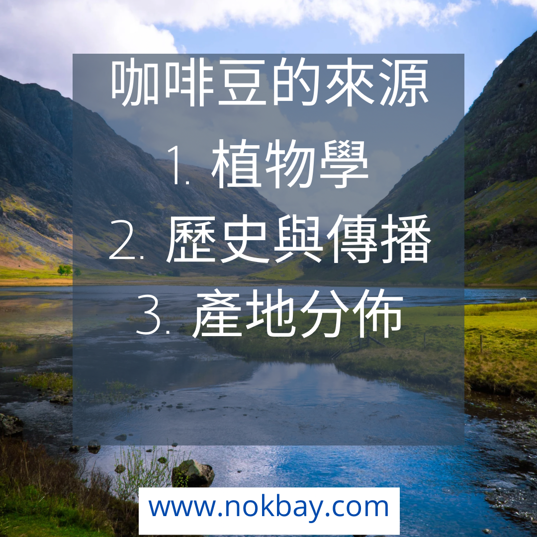 咖啡豆的起源