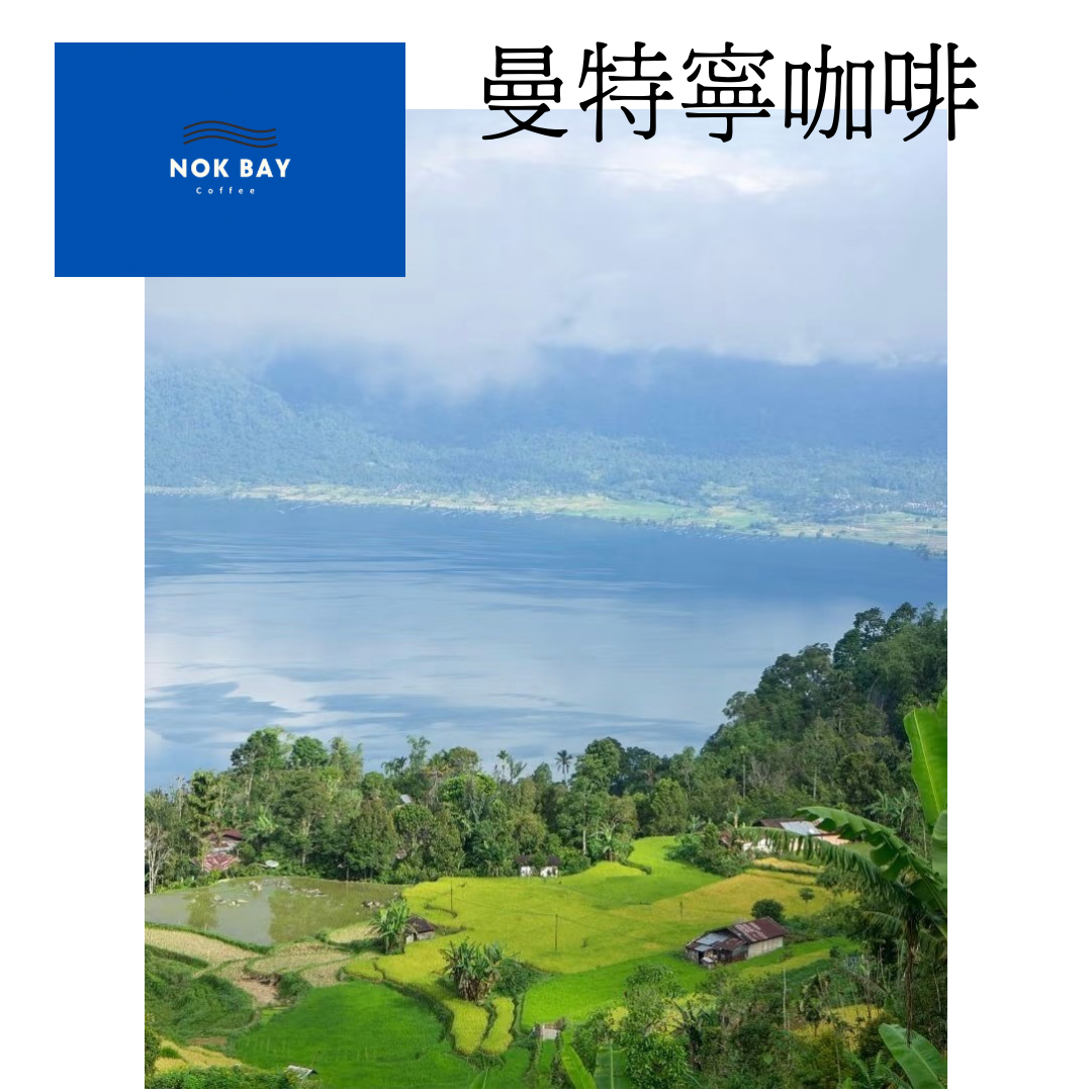 印尼 曼特寧咖啡