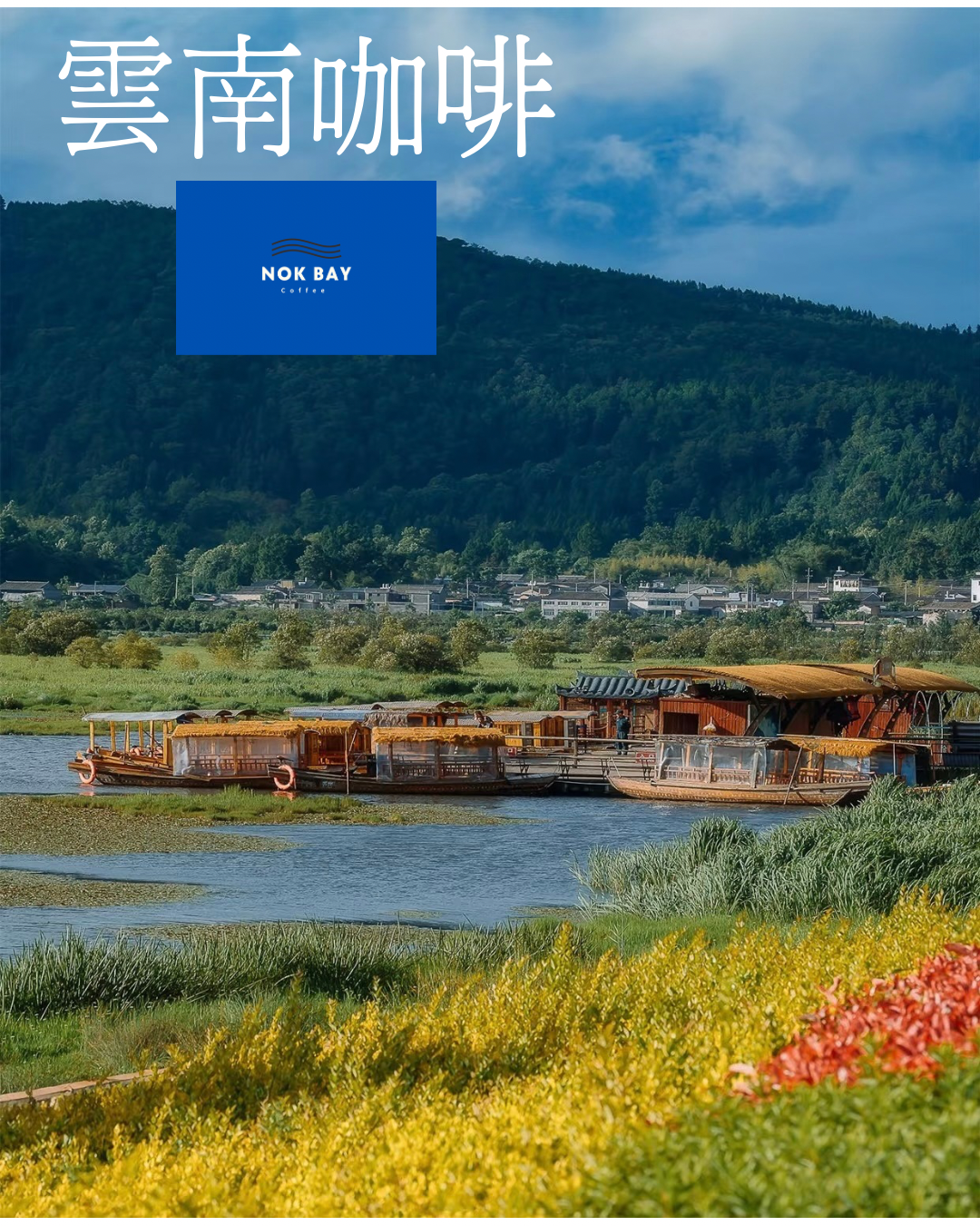 雲南咖啡