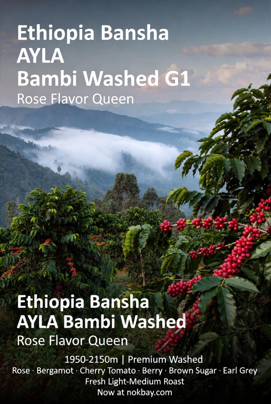 埃塞俄比亞 班莎 AYLA 邦比水洗 G1
Bansha Ayla Testi 處理廠 74110 & 74158 原生種 精品咖啡豆