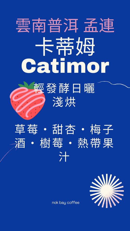 雲南孟連1650m  輕發酵日曬中淺烘焙 果香 精品手沖咖啡豆