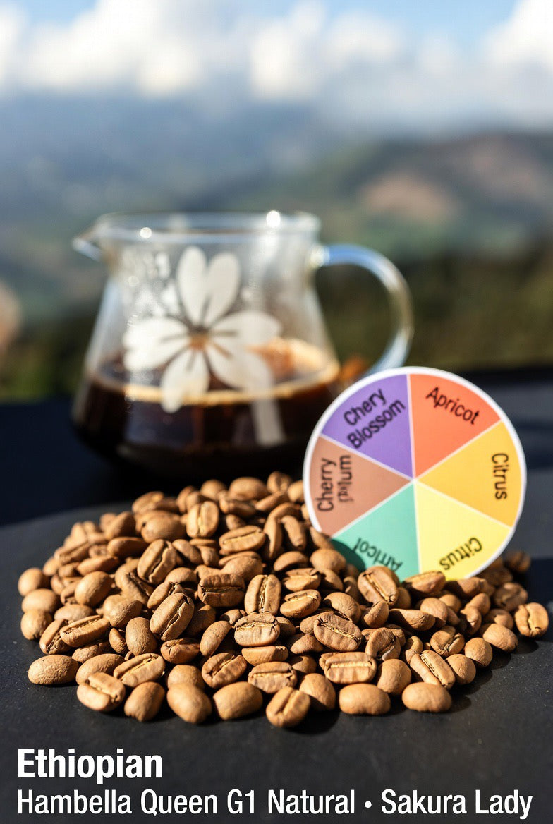 埃塞俄比亚 罕贝拉 花魁G1日晒
Doora冠軍系列新鮮上架 淺中烘焙 花香 手沖精品咖啡豆