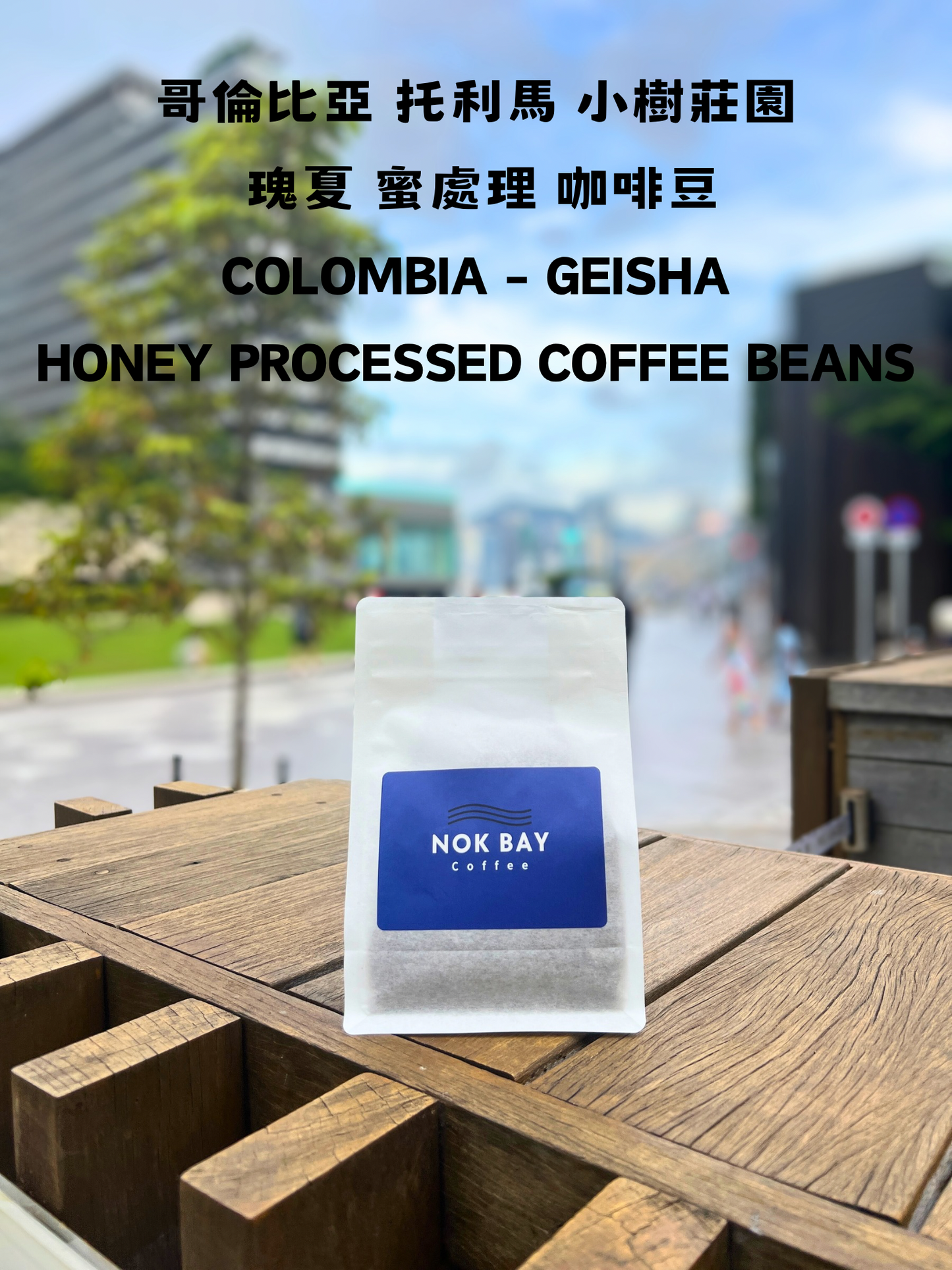 哥倫比亞 托利馬 小樹莊園 瑰夏 蜜處理 咖啡豆