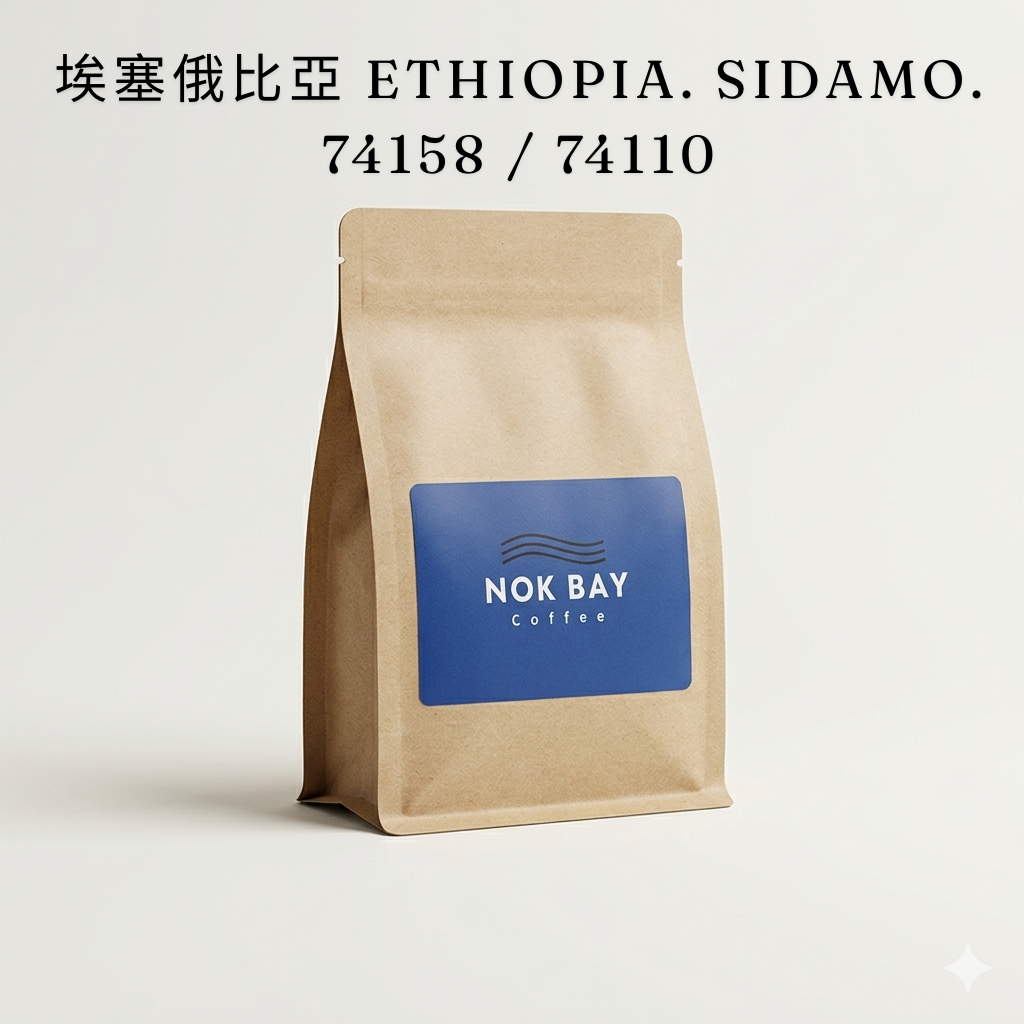 Ethiopia Sidamo CHIKO Estate Washed Jasmine Citrus G1 Medium Light Roast | Specialty Coffee Beans | Nok Bay Coffee