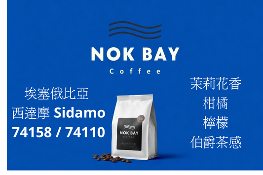 CHIKO庄園 茉莉花香 · 西達摩之選 埃塞俄比亞 精品G1咖啡豆 中淺烘焙 74158 / 74110 水洗 Washed Jasmine &amp; Citrus Brightness · Sidamo Selection