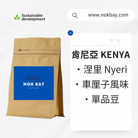 Kenya KENYA Nyeri Nyeri boutique coffee beans cherry flavored single origin beans SOE